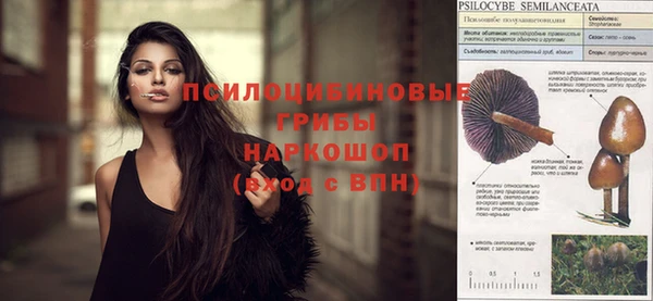 экстази Алексин