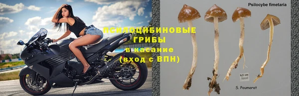 стаф Алексеевка