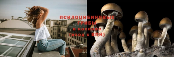 ПСИЛОЦИБИНОВЫЕ ГРИБЫ Алзамай
