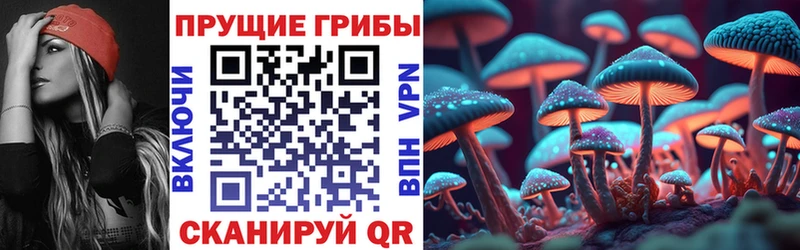 купить наркотики сайты  Суровикино  Галлюциногенные грибы GOLDEN TEACHER 